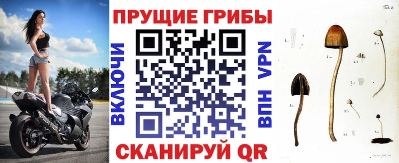 Галлюциногенные грибы мицелий  цены   Белый 